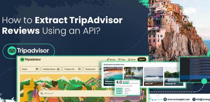 trip advisor reviews api